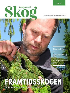 Skog 2023/5 (29.08.23)