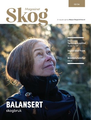 Skog