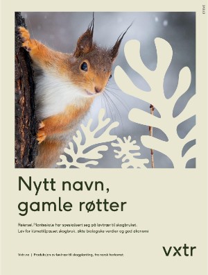 skog-20240306_002_00_00_019.pdf