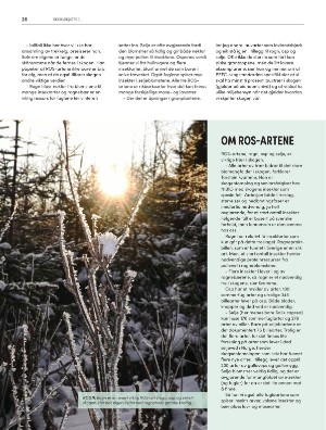 skog-20240306_002_00_00_026.pdf