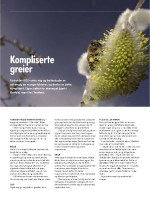 skog-20240306_002_00_00_027.pdf