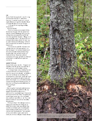 skog-20240306_002_00_00_095.pdf