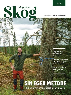Skog 2024/5 (20.08.24)