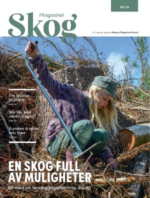 Skog 2024/6 (24.09.24)