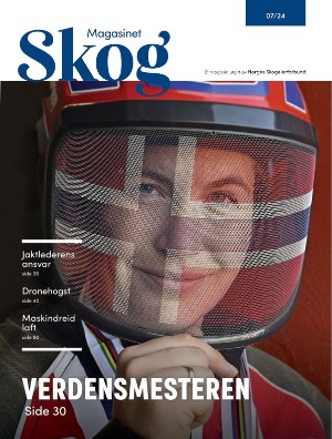Skog 2024/7 (31.10.24)