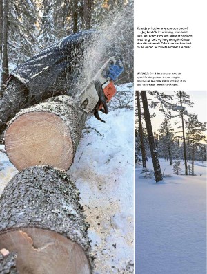 skog-20250409_003_00_00_012.pdf
