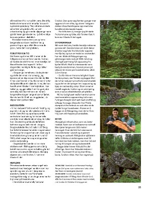 skog-20250409_003_00_00_025.pdf