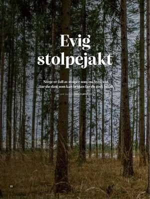 skog-20250409_003_00_00_030.pdf