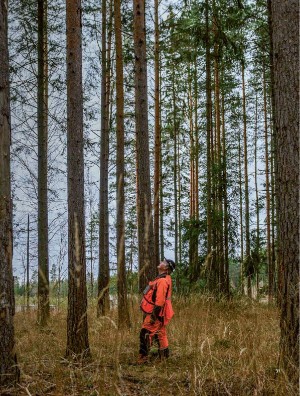 skog-20250409_003_00_00_031.pdf
