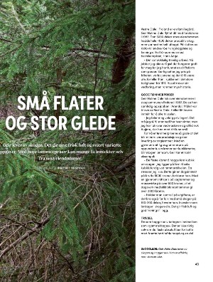skog-20250409_003_00_00_043.pdf