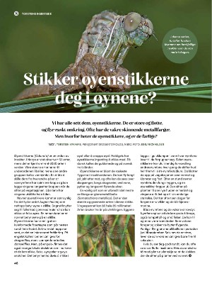 skog-20250409_003_00_00_046.pdf