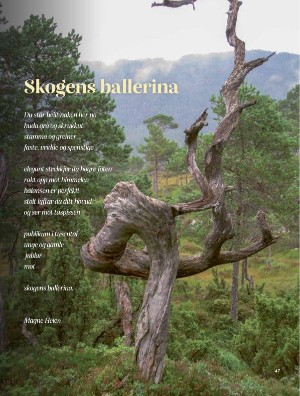 skog-20250409_003_00_00_047.pdf