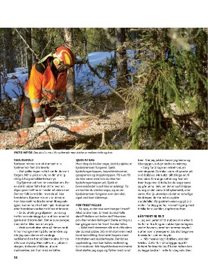 skog-20250409_003_00_00_056.pdf