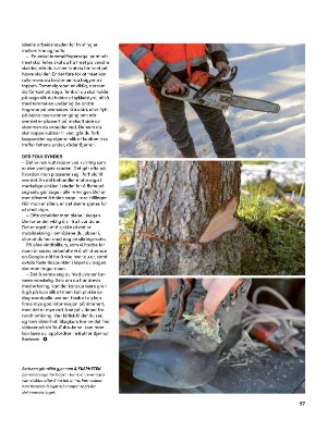 skog-20250409_003_00_00_057.pdf