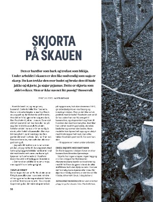 skog-20250409_003_00_00_058.pdf