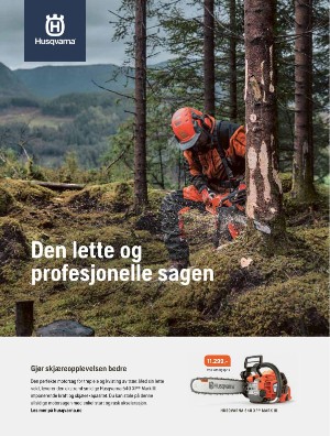 skog-20250409_003_00_00_071.pdf