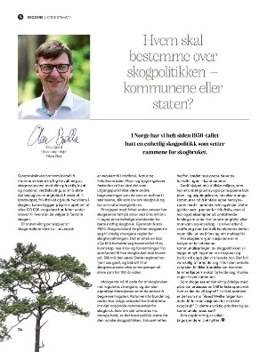 skog-20250409_003_00_00_074.pdf