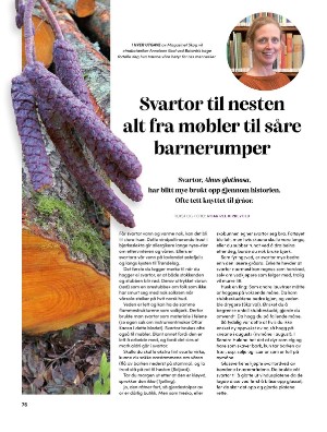 skog-20250409_003_00_00_076.pdf