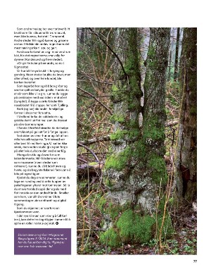 skog-20250409_003_00_00_077.pdf