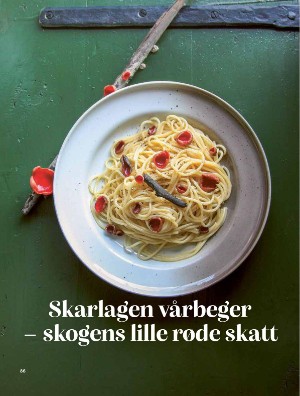 skog-20250409_003_00_00_086.pdf