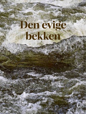 skog-20250409_003_00_00_095.pdf