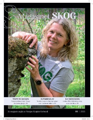 Skog
