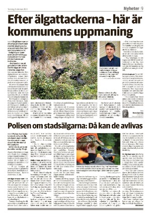 smalandsdagblad-20211021_000_00_00_009.pdf
