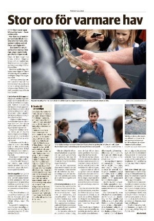 smalandsdagblad-20230711_000_00_00_020.pdf