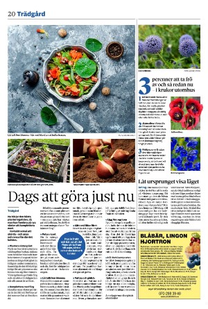 smalandsdagblad-20250821_000_00_00_020.pdf