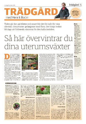 smalandsdagblad_b-20211009_000_00_00_015.pdf