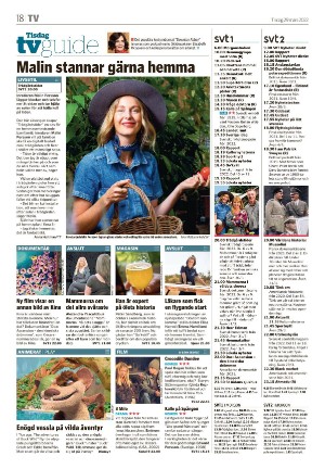 smalandsdagblad_b-20220329_000_00_00_018.pdf