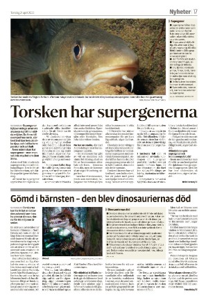 smalandsdagblad_b-20220421_000_00_00_017.pdf