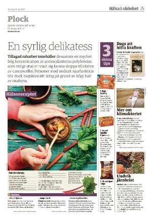 smalandsdagblad_b-20220519_000_00_00_025.pdf