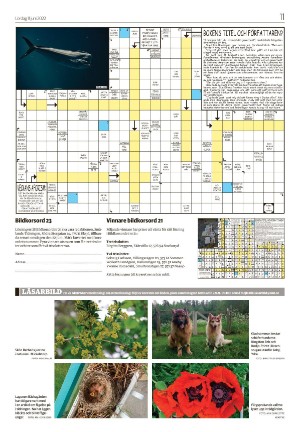 smalandsdagblad_b-20220611_000_00_00_011.pdf