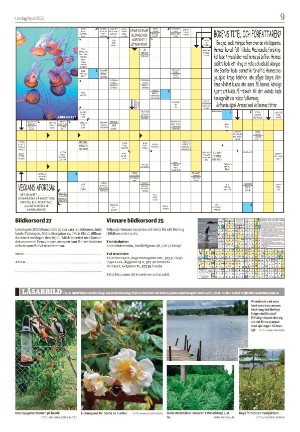 smalandsdagblad_b-20220709_000_00_00_009.pdf