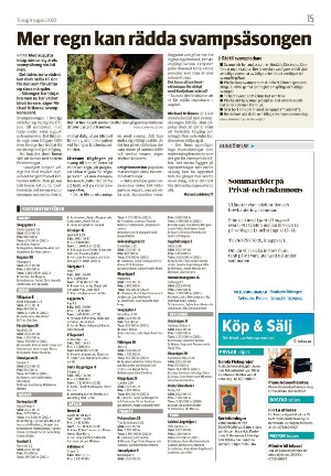 smalandsdagblad_b-20220809_000_00_00_015.pdf
