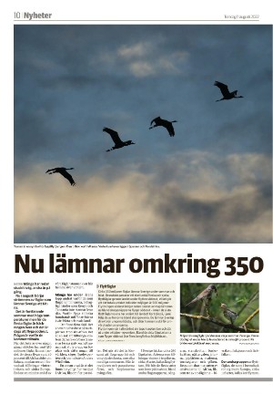 smalandsdagblad_b-20220811_000_00_00_010.pdf