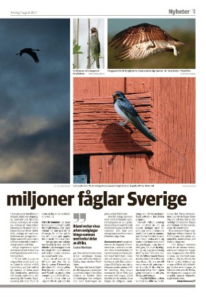 smalandsdagblad_b-20220811_000_00_00_011.pdf