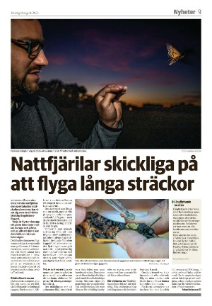 smalandsdagblad_b-20220818_000_00_00_009.pdf