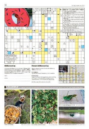 smalandsdagblad_b-20220903_000_00_00_014.pdf