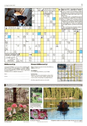 smalandsdagblad_b-20221001_000_00_00_011.pdf