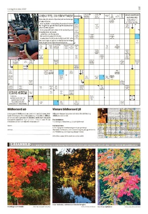 smalandsdagblad_b-20221008_000_00_00_011.pdf