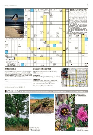 smalandsdagblad_b-20221022_000_00_00_011.pdf