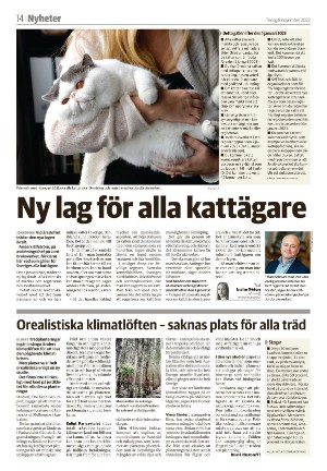 smalandsdagblad_b-20221108_000_00_00_014.pdf