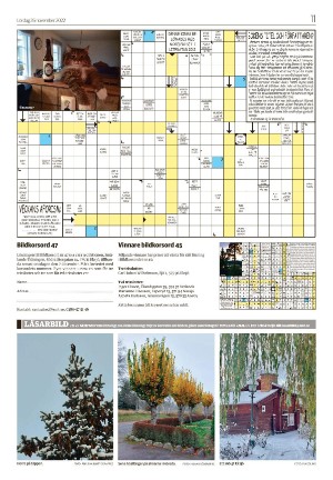 smalandsdagblad_b-20221126_000_00_00_011.pdf