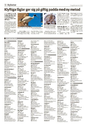 smalandsdagblad_b-20221129_000_00_00_018.pdf