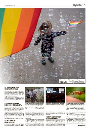 smalandsdagblad_b-20230103_000_00_00_015.pdf