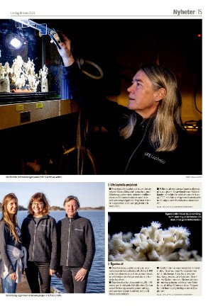 smalandsdagblad_b-20230318_000_00_00_015.pdf