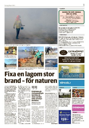 smalandsdagblad_b-20230420_000_00_00_011.pdf