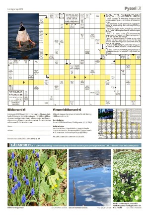 smalandsdagblad_b-20230506_000_00_00_021.pdf